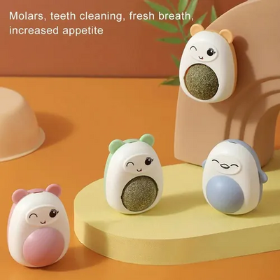 COMBO CATNIP + CEPILLO QUITA PELUSA